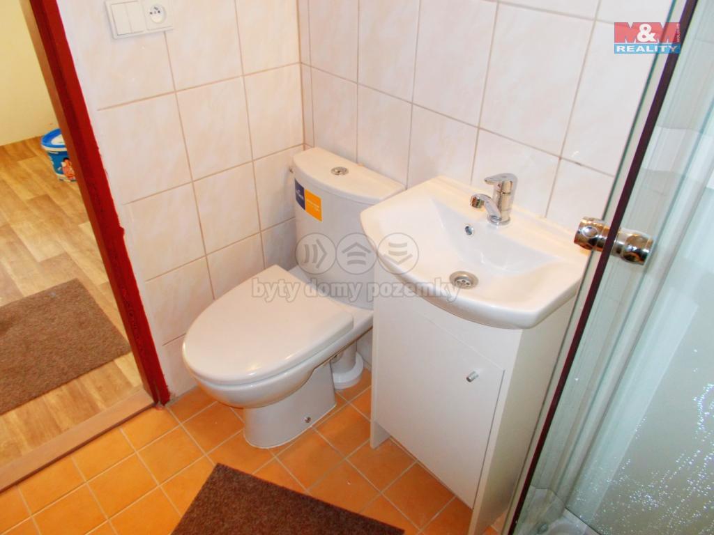 Pronajem bytu 1+kk 30 m2