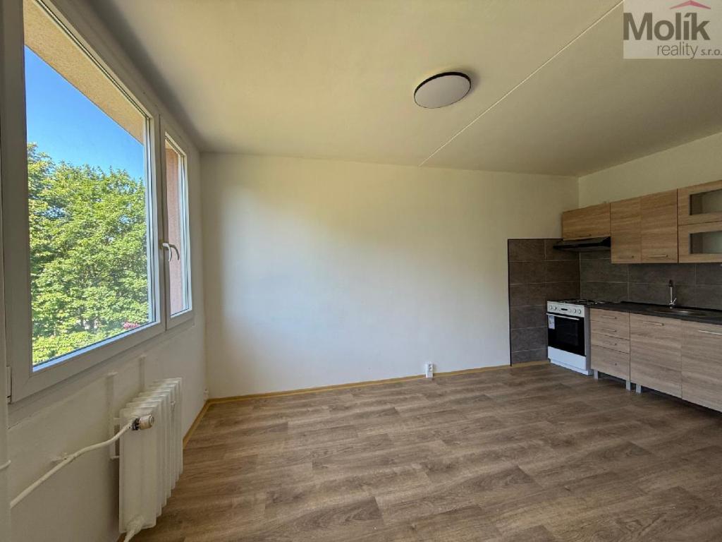 Pronájem bytu 3+1 69 m2