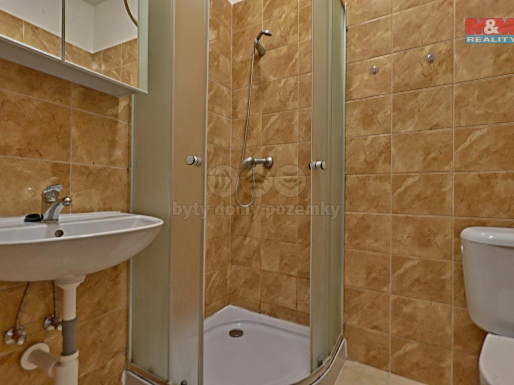 Pronajem bytu 1+kk 20 m2