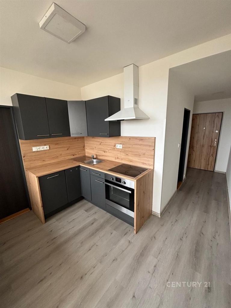 Pronájem bytu 3+1 69 m2
