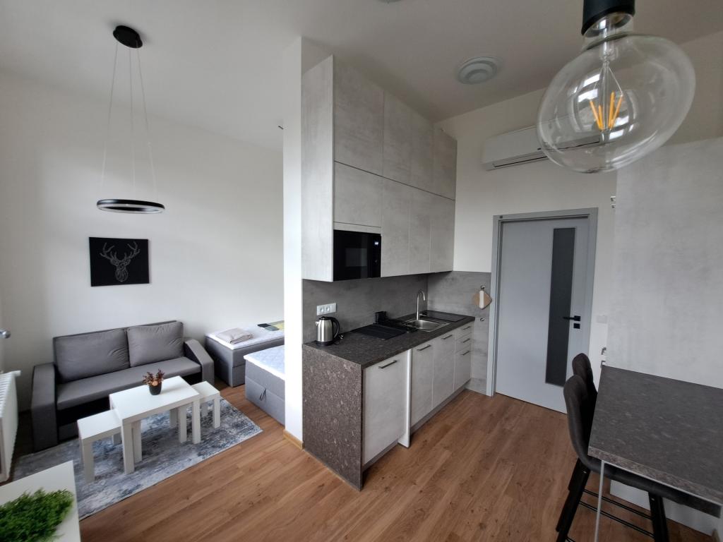 Pronájem bytu 1+kk 31 m2
