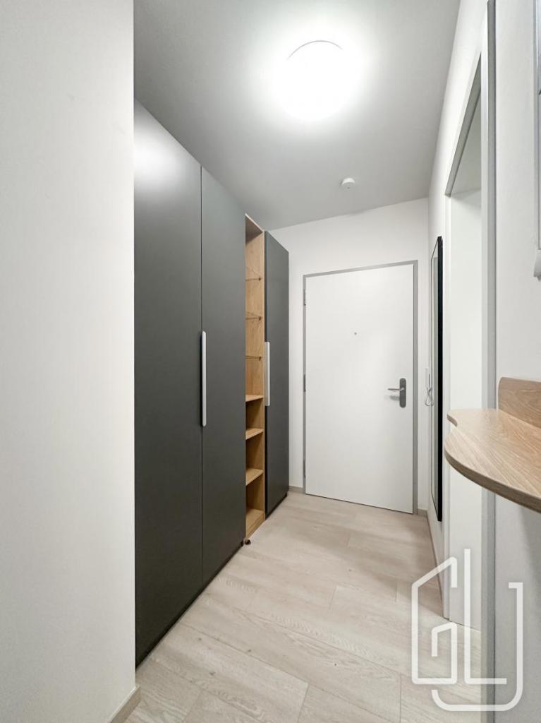 Pronájem bytu 1+kk 39 m2