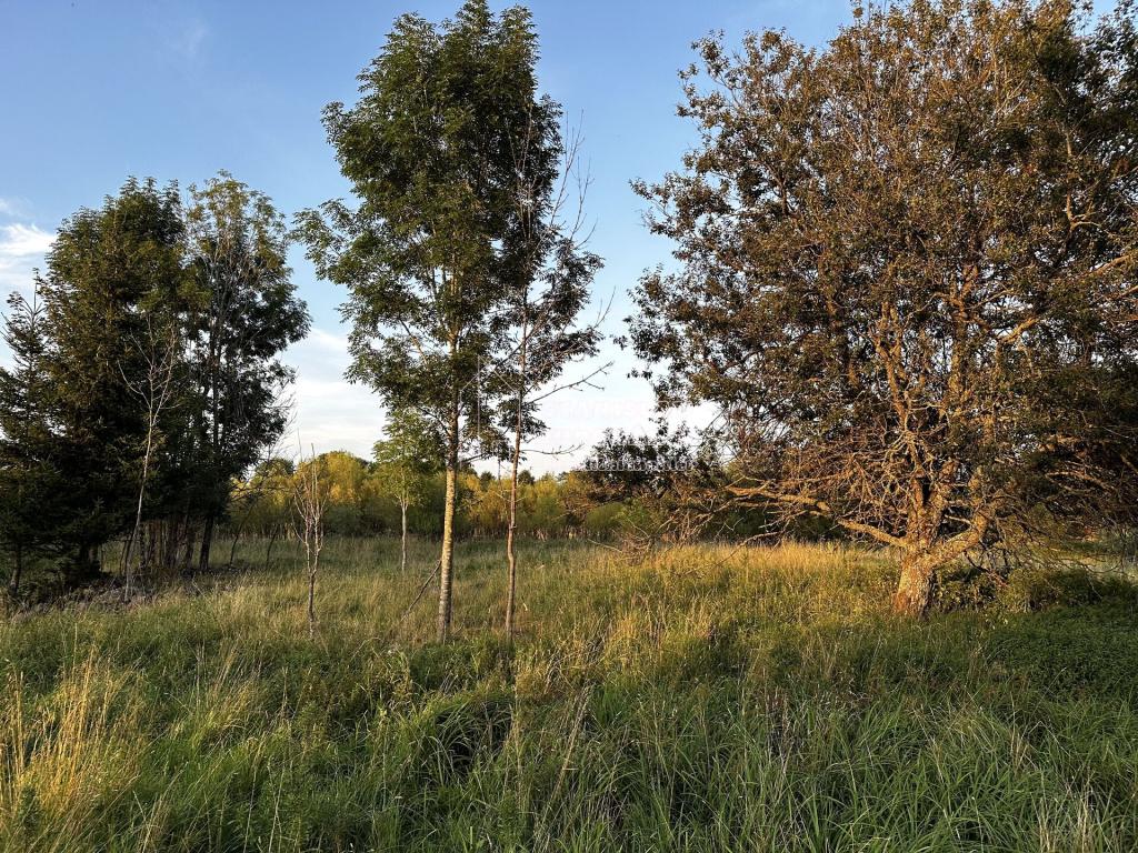 Prodej pozemku – pohled 2