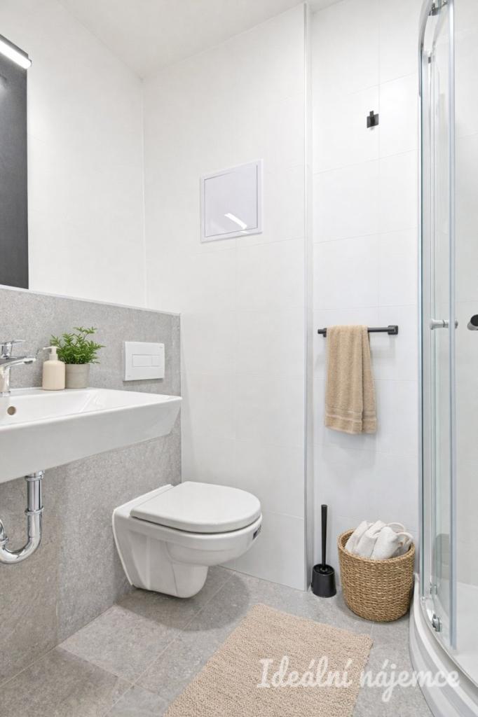 Pronájem bytu 1+1 25 m2