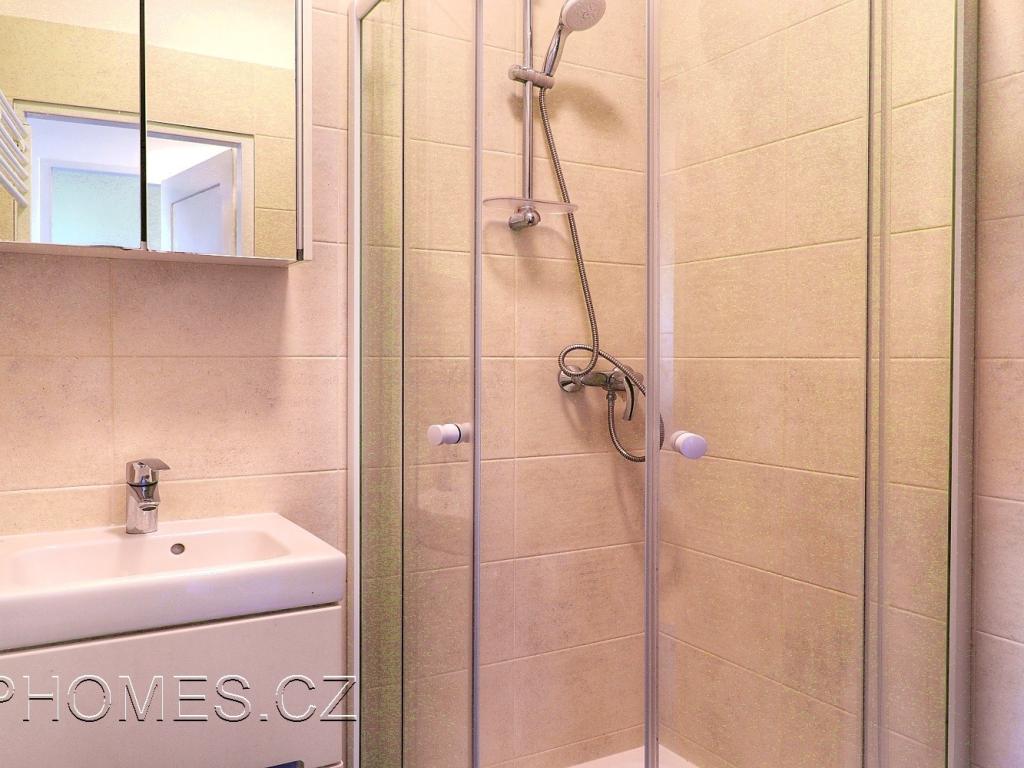 Pronájem bytu 1+1 50 m2