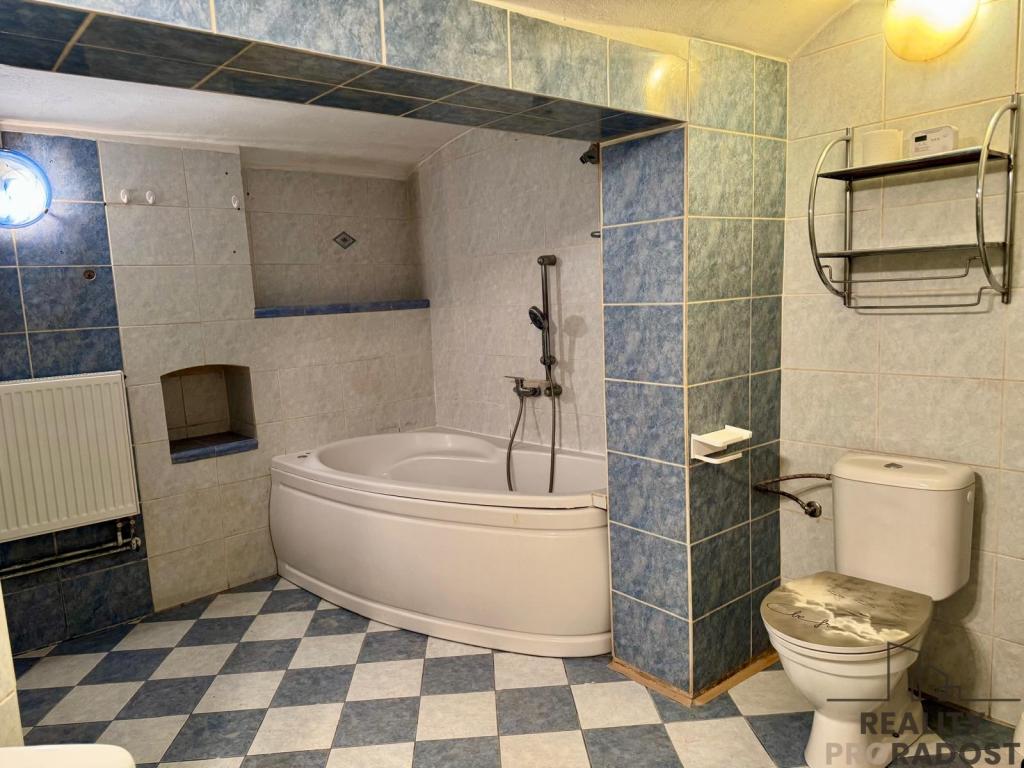 Pronájem bytu 3+kk 232 m2