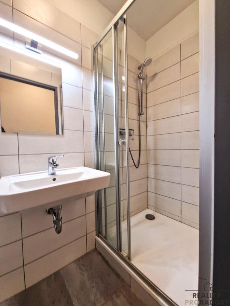 Pronájem bytu 1+kk 33 m2
