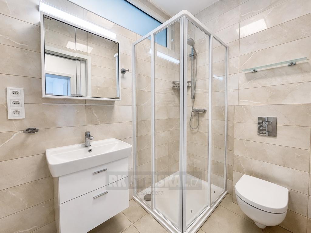 Pronájem bytu 2+1 55 m2