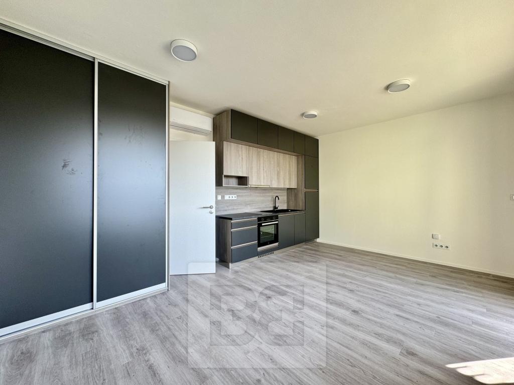 Pronájem bytu 1+kk 35 m2