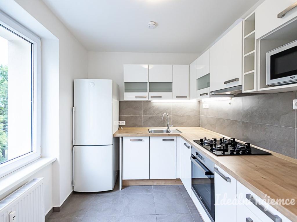 Pronájem bytu 2+1 54 m2
