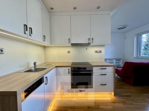 Pronájem bytu 1+kk 44 m2