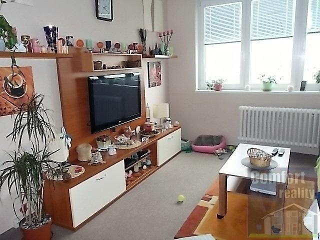Pronajem bytu 2+1 54 m2