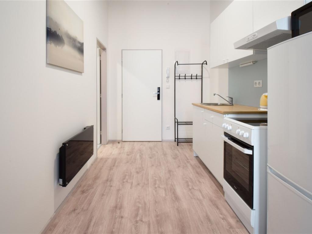 Pronájem bytu 1+kk 30 m2