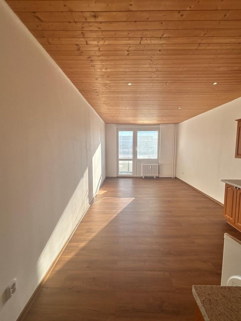 Pronájem bytu 1+kk 30 m2