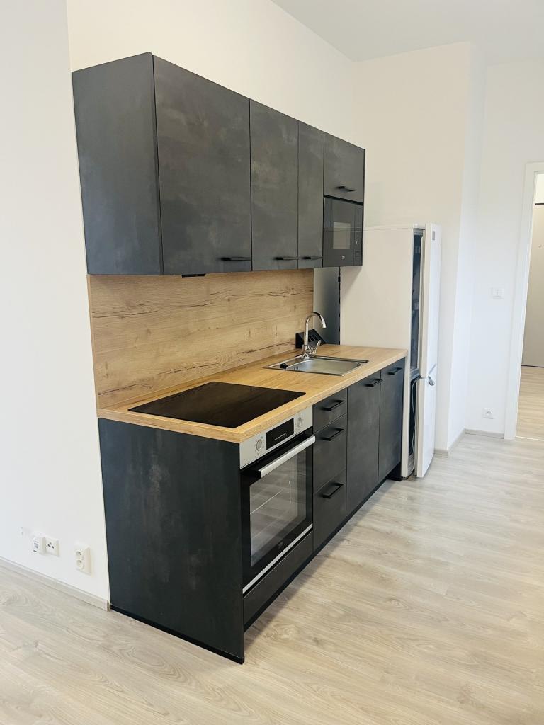 Pronájem bytu 1+kk 60 m2, Lovosice – náhled fotky 9