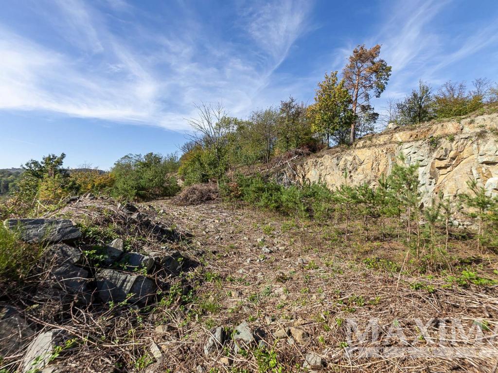 Prodej pozemku 7462 m2, Solenice – náhled fotky 15
