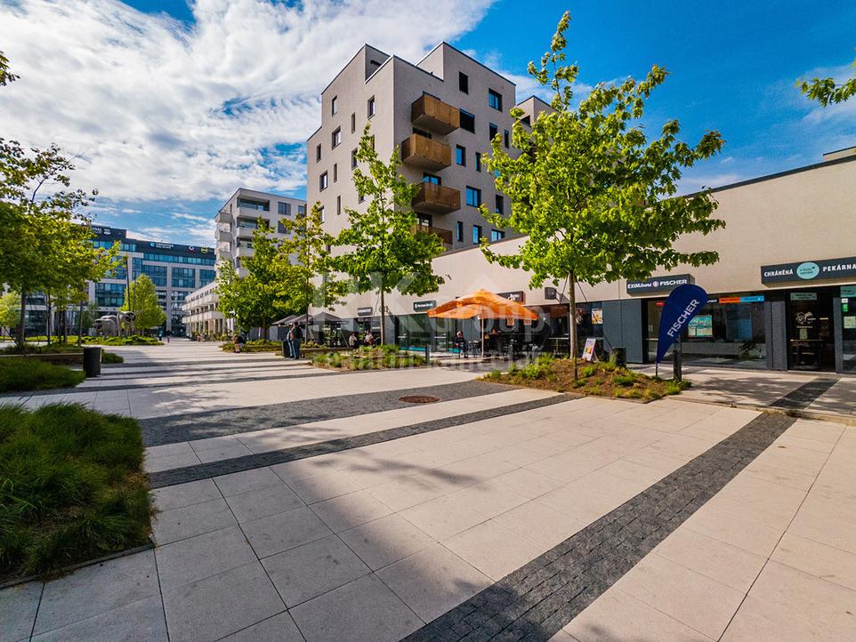 Pronájem bytu 3+kk 81 m2, Praha – náhled fotky 26