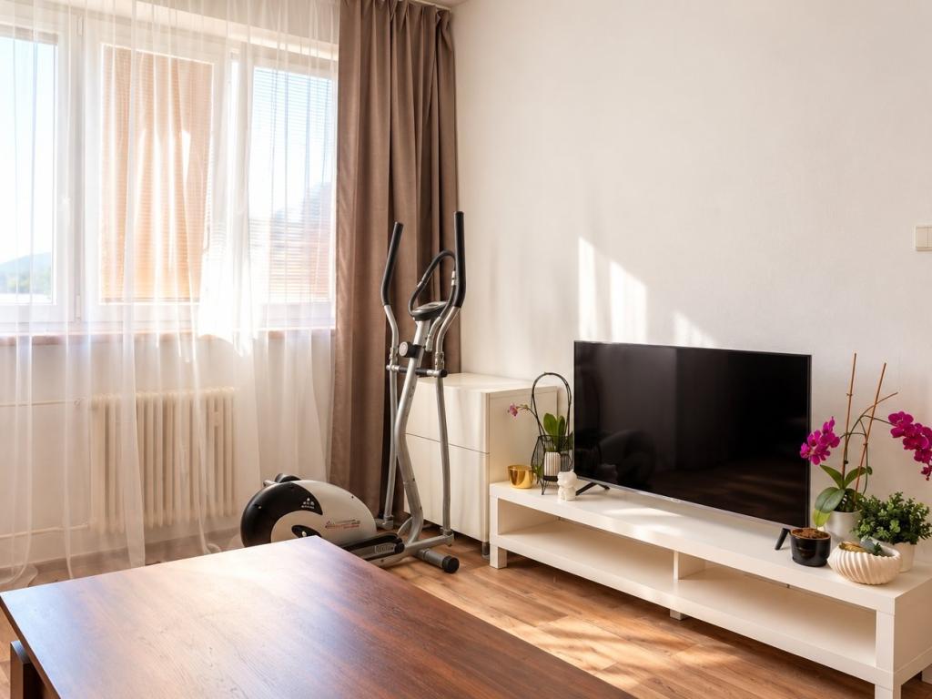 Pronájem bytu 1+1 39 m2