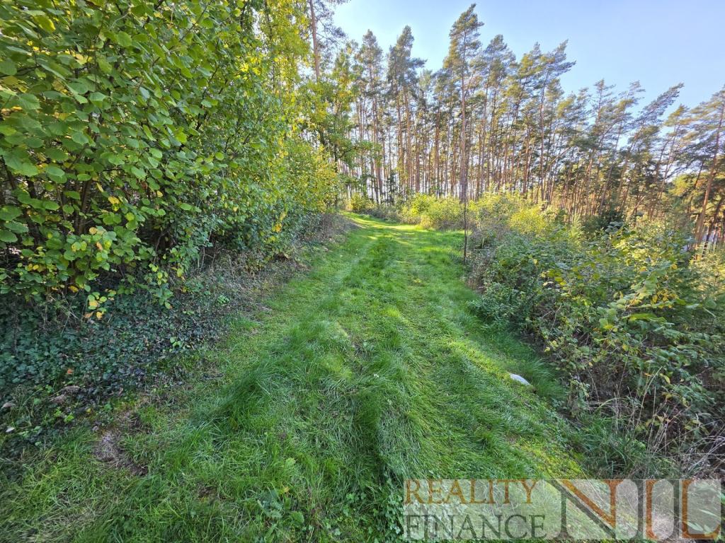Prodej domu 54 m2, Pňovany – náhled fotky 23
