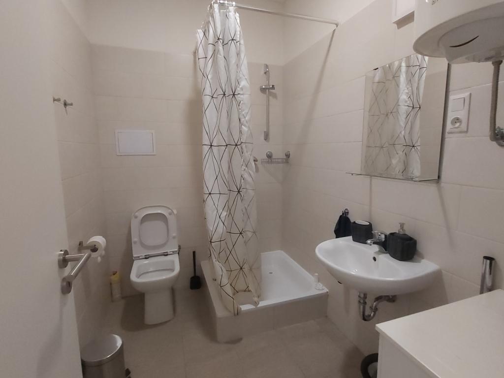Pronajem bytu 1+kk 45 m2