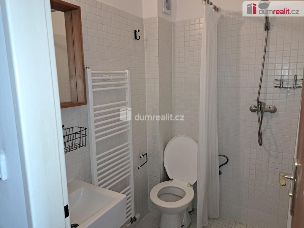 Pronájem bytu 1+1 29 m2