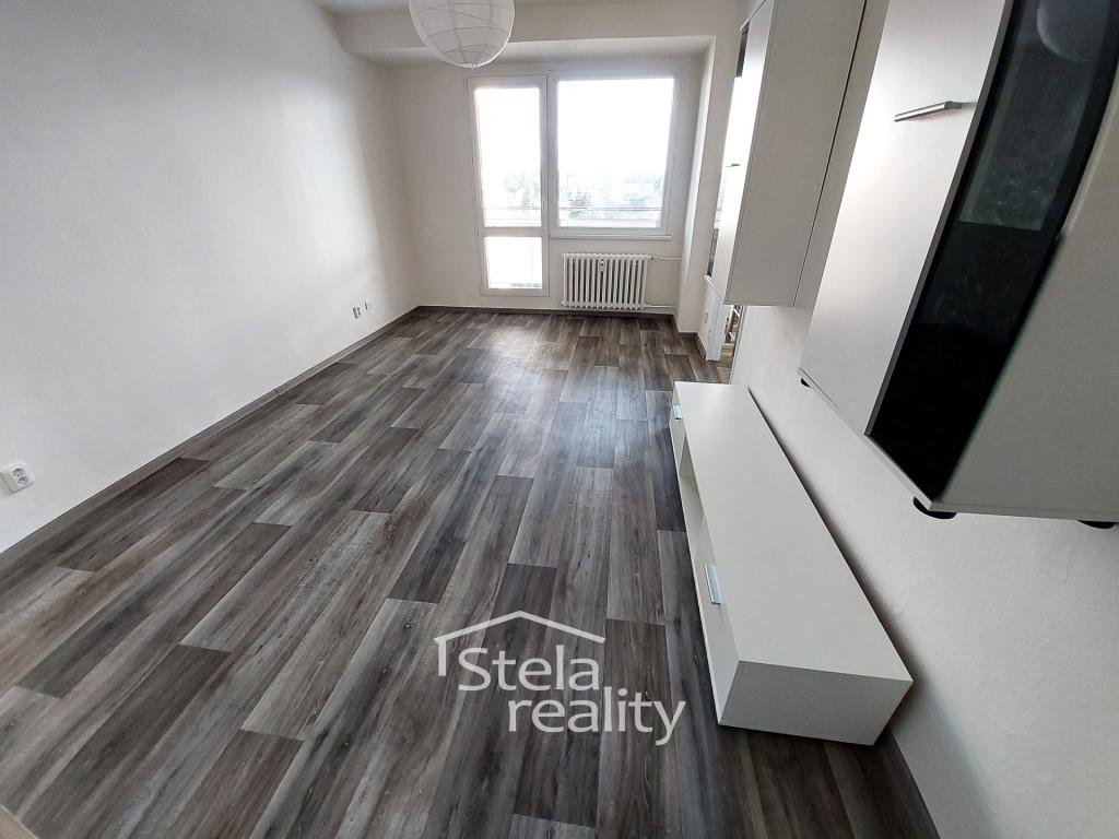 Pronájem bytu 1+1 42 m2