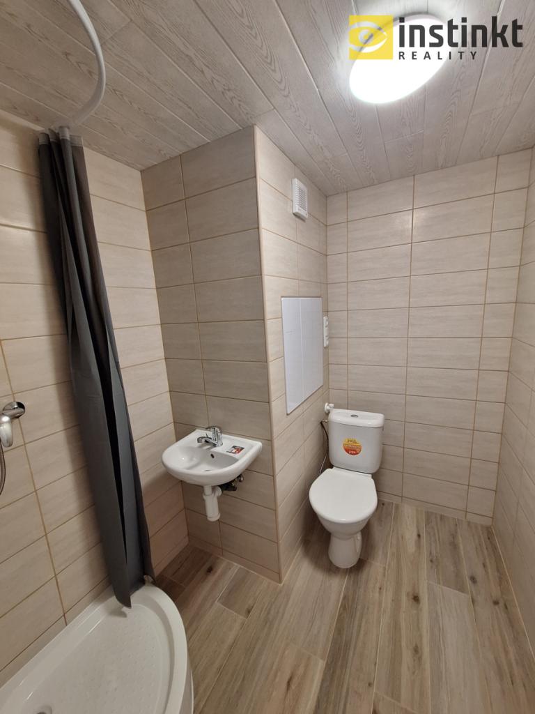 Pronájem bytu 1+1 42 m2