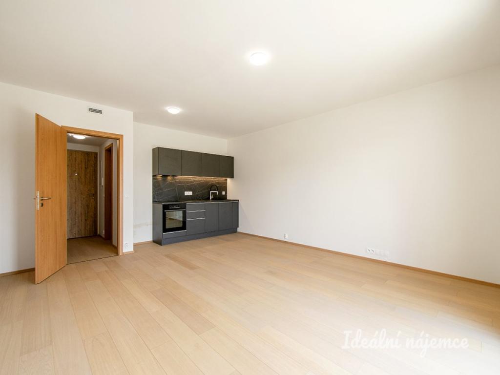Pronájem bytu 1+kk 40 m2