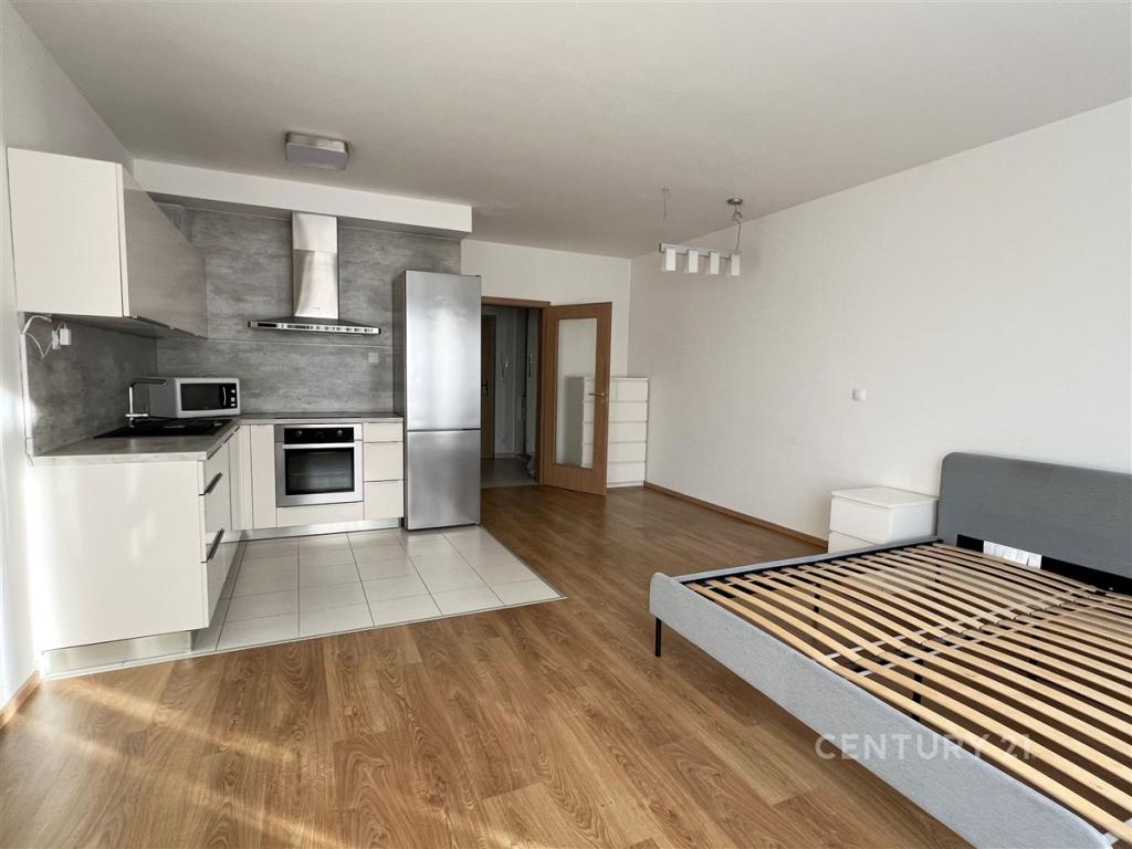 Pronájem bytu 1+kk 40 m2