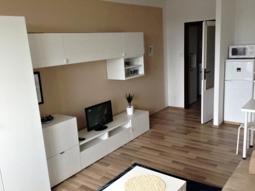 Pronajem bytu garsonka 30 m2