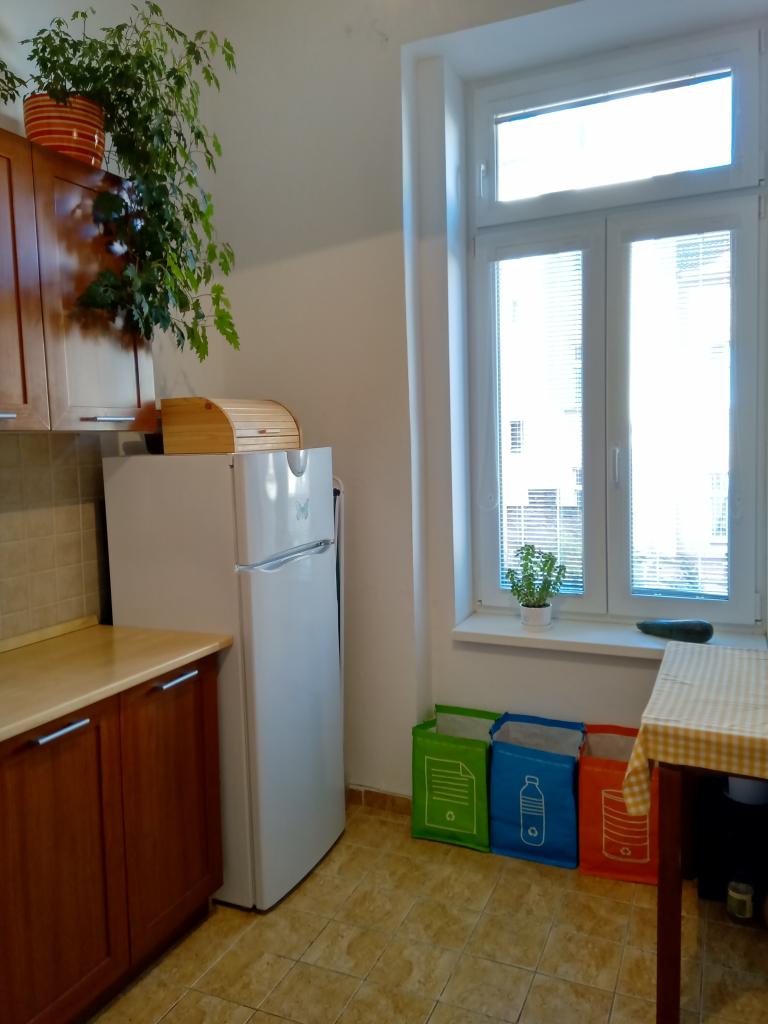 Pronajem bytu 1+1 30 m2
