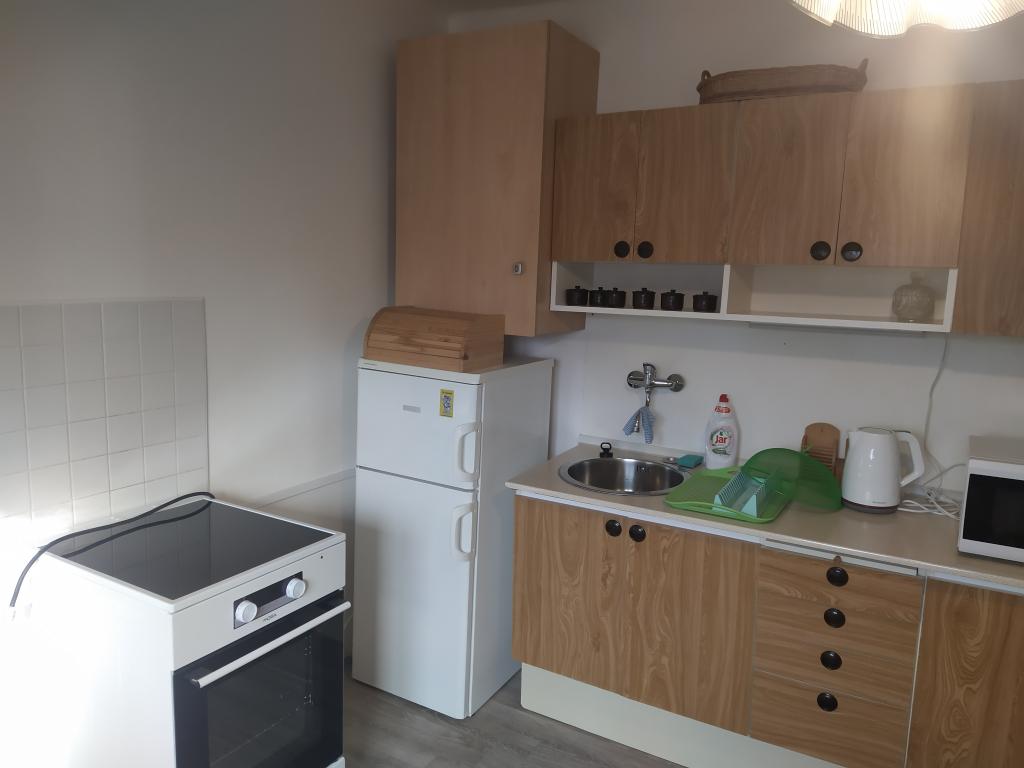 Pronajem bytu 2+1 60 m2
