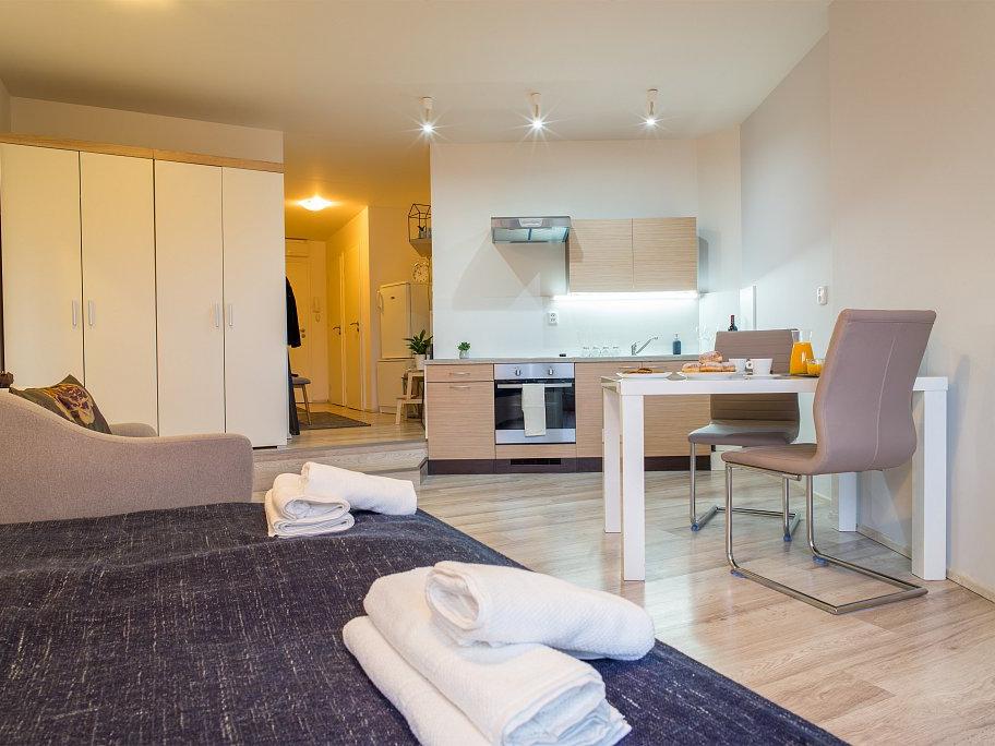 Pronajem bytu 1+kk 30 m2