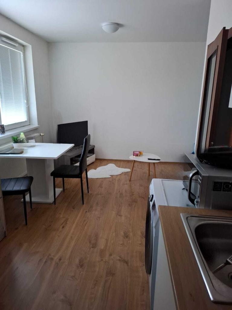 Pronájem 1+kk, Přáslavice - Přáslavice, 8300 Kč,