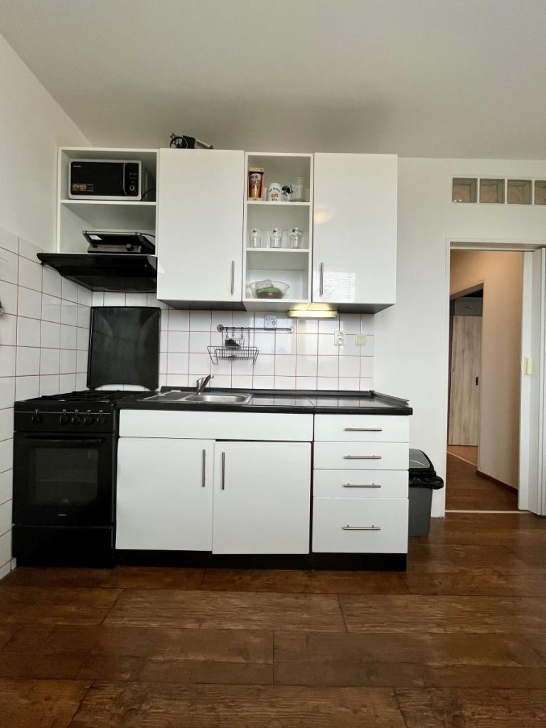 Pronájem bytu 1+1 41 m2
