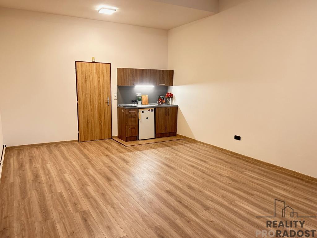 Pronájem bytu 1+kk 45 m² - Widok 5