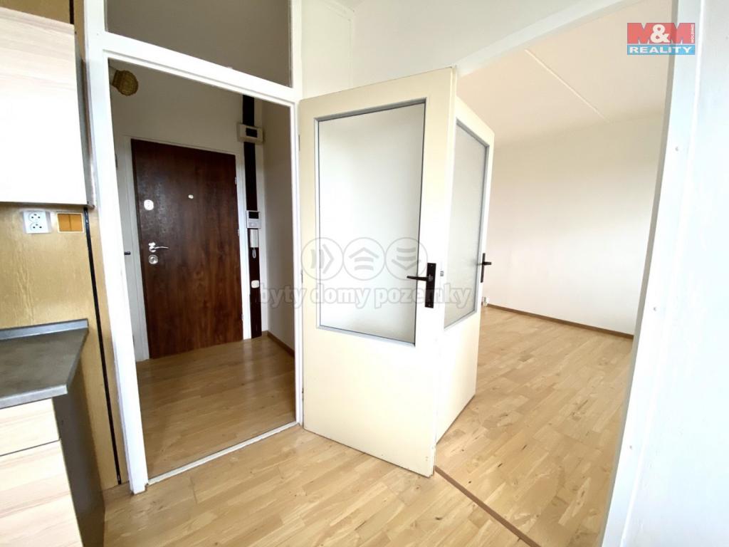 Pronajem bytu 1+1 40 m2
