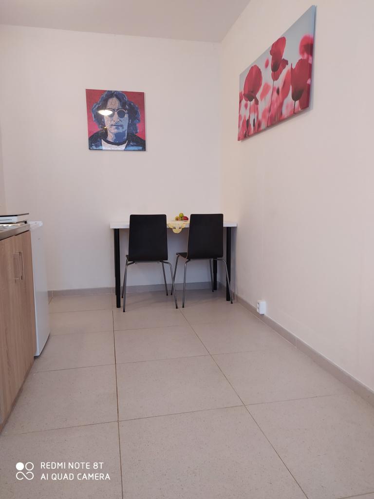 Pronajem bytu 1+kk 19 m2