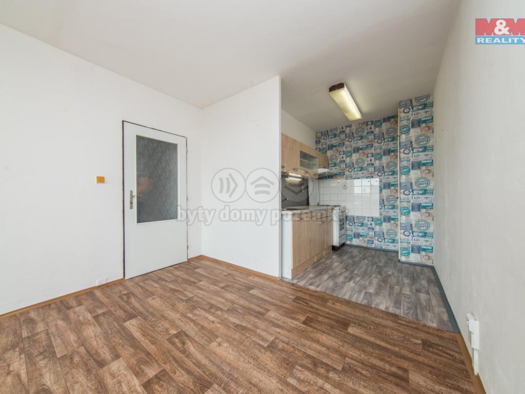 Pronajem bytu 2+kk 45 m2