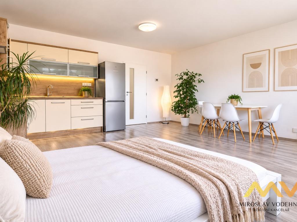 Pronájem bytu 1+kk 38 m2