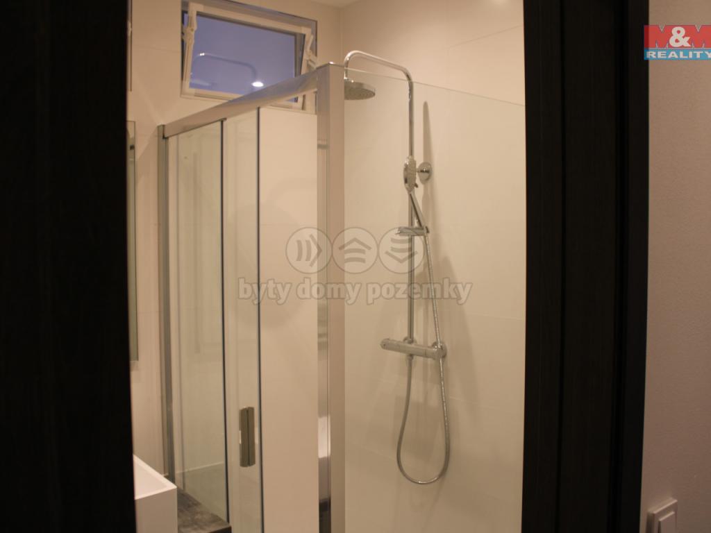 Pronajem bytu 2+1 54 m2