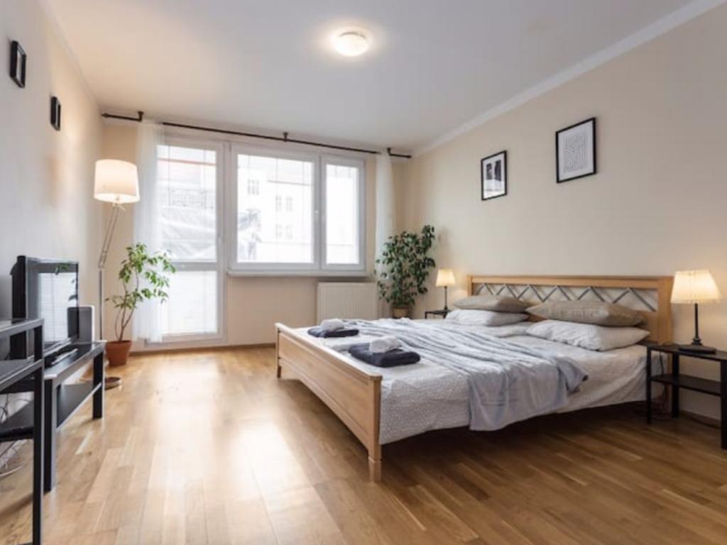Pronajem bytu 2+1 70 m2