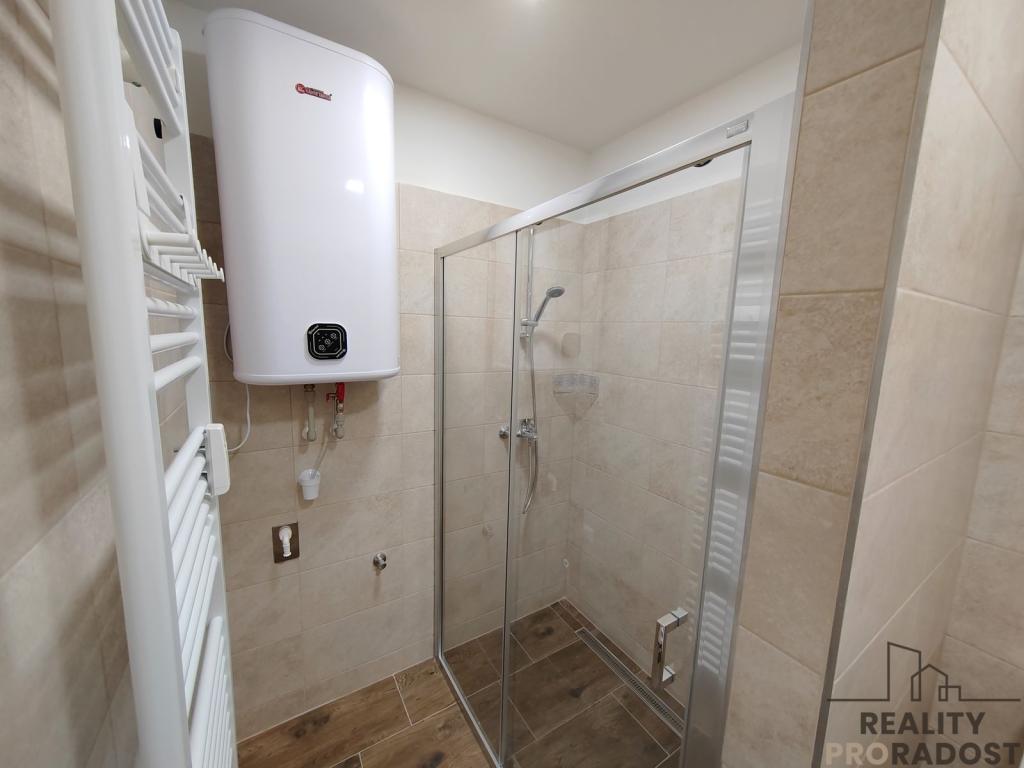 Pronájem bytu 1+1 48 m2