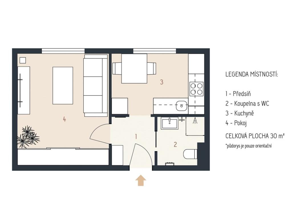 Pronájem bytu 1+1 30 m2, Plzeň – náhled fotky 13