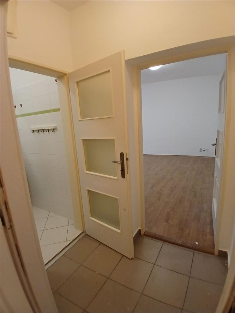 Pronájem bytu 1+1 36 m2