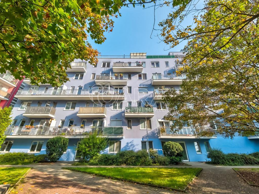 2-Zimmer-Wohnung, 46 m²