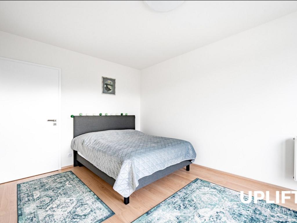 Pronájem bytu 2+kk 60 m2