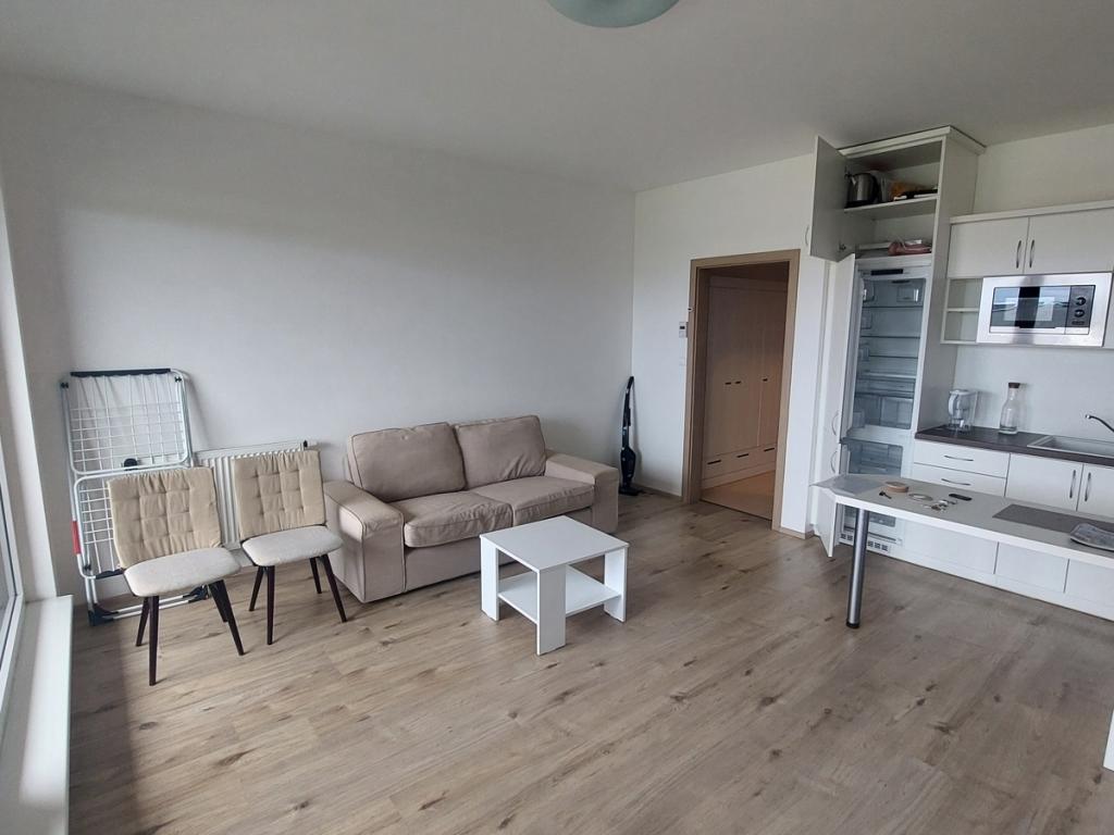 Pronájem bytu 1+kk 42 m2