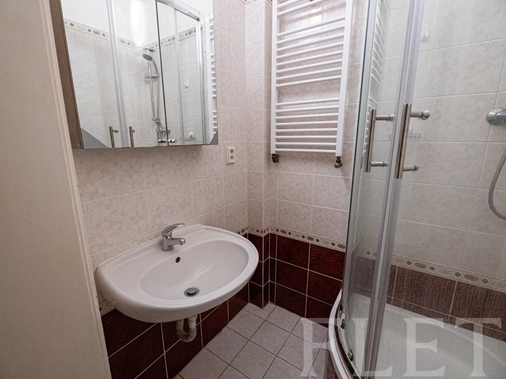 Pronájem bytu 2+1 64 m2, Praha – náhled fotky 17