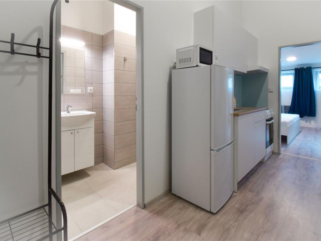 Pronájem bytu 3+1 52 m2